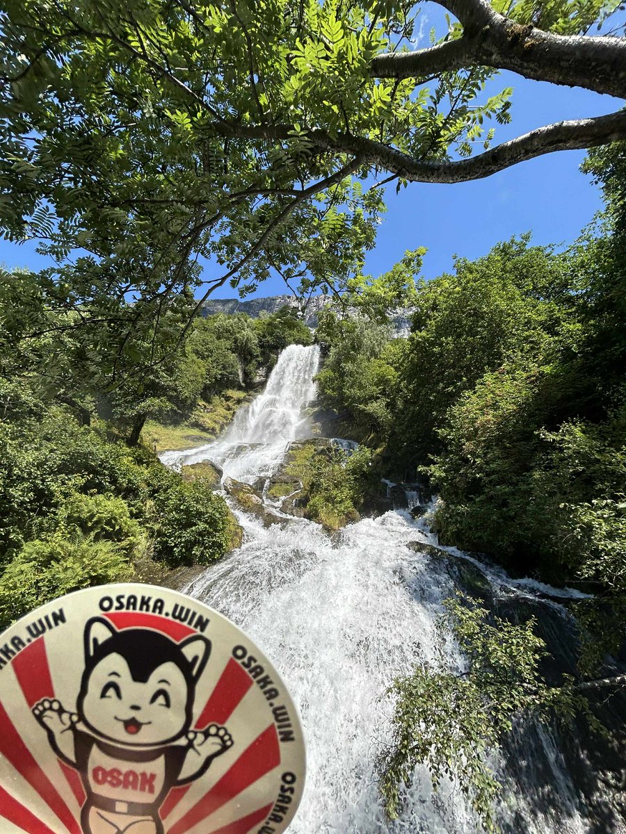 . <a href="/OsakaProtocol/">Osaka Protocol</a> ⛩
Cult of the black shib