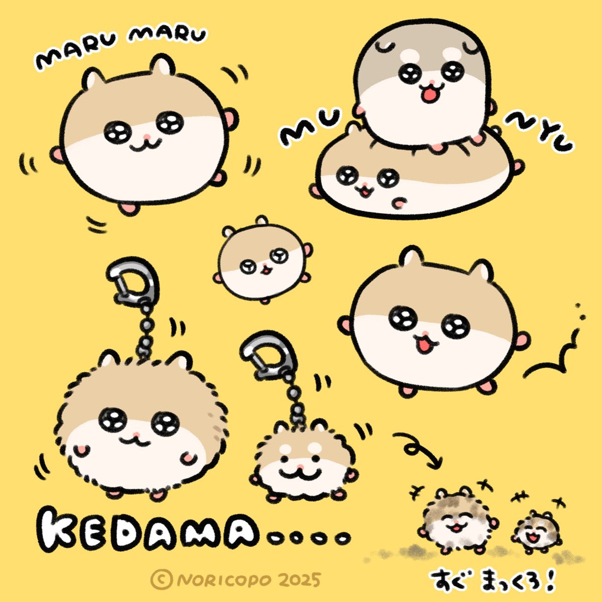 まんまるになっちゃっただねえ！
#コビハムちゃん #ゴマハムちゃん