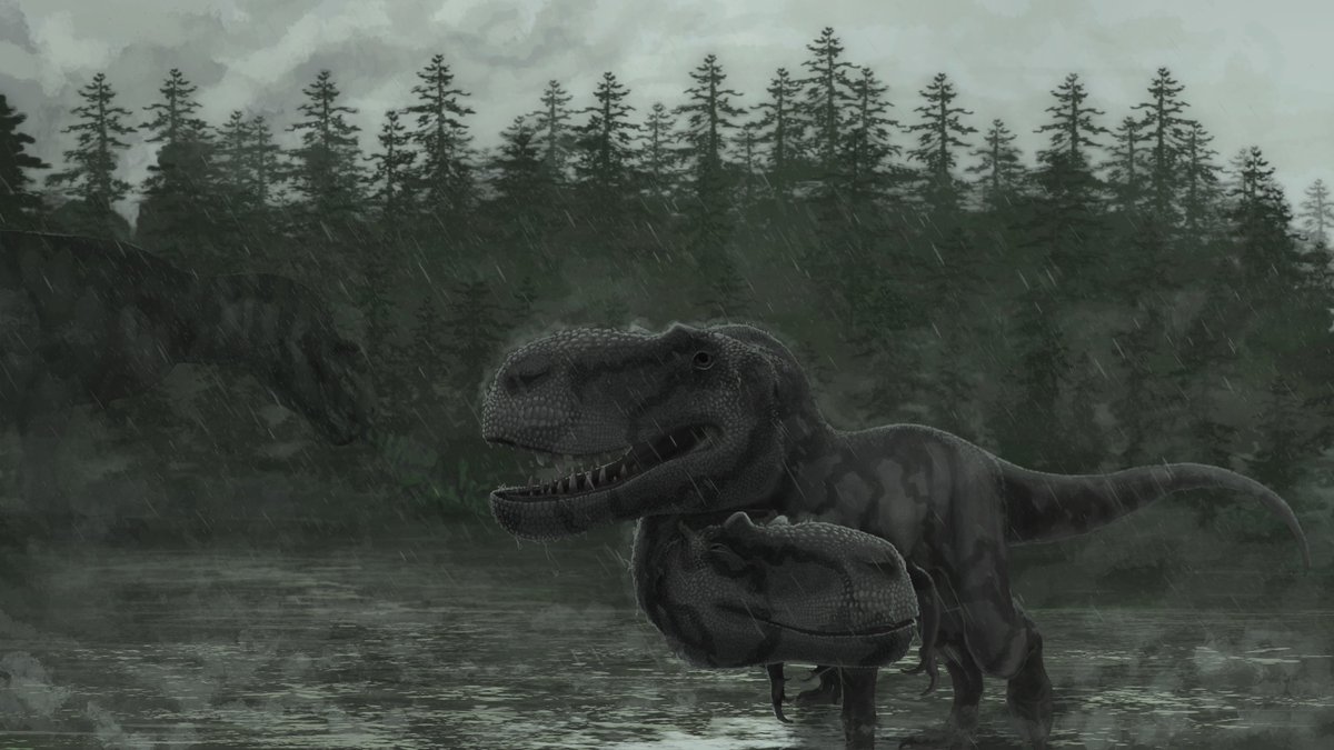 Innocence in the storm