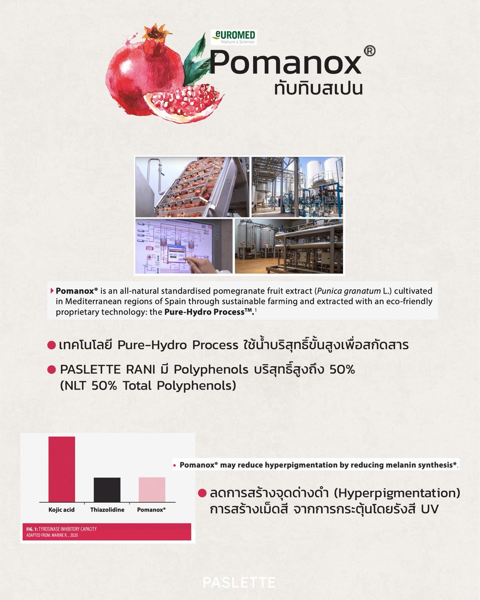 paslette_'s tweet photo. ตัว Raw Material ที่ PASLETTE RANI ใช้มีค่าสารสำคัญคือ Polyphenols บริสุทธิ์สูงถึง 50% ซึ่งถือว่าสูงมากสำหรับตลาดอาหารเสริม โดยสารสำคัญนี้ที่อยู่ในทับทิมจะช่วยเรื่องของผิวโดยตรง https://t.co/f7fdVObB4i