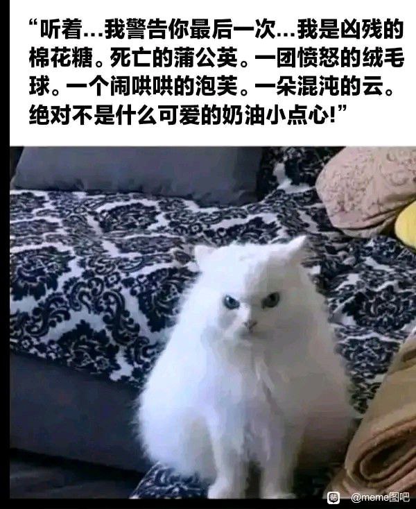 hsn8086xe's tweet photo. https://t.co/tUfsKi9iER