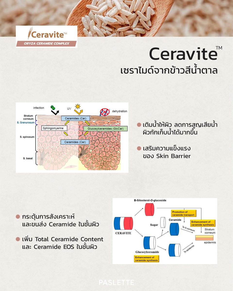 paslette_'s tweet photo. รู้หรือไม่ ?
• หากเราต้องการ Ceramide (เทียบเท่า Ceravite 10 mg) ต้องทานข้าว Brown rice ถึง 20 kg
• Ceravite ยังมี BSG สูงกว่า Ceramide ทั่วไปอีกด้วย
(BSG ช่วยในการขนส่งและสังเคราะห์ Ceramide)

#PASLETTE #Shineonyou https://t.co/wCAMwq2vSo