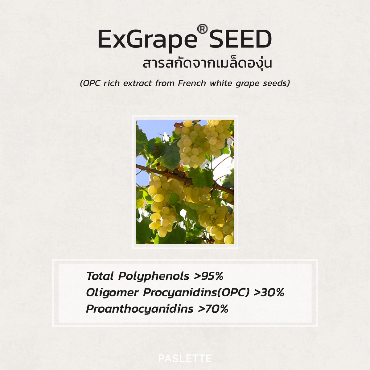 paslette_'s tweet photo. มี Polyphenols มากกว่า 95% และยังประกอบไปด้วย OPC มากกว่า 30% Proanthocyanodins มากกว่า 70% ซึ่งสารสำคัญนี้ล้วนเป็นสารต้านอนุมูลอิสระชั้นดี https://t.co/u9J6CEVOWr