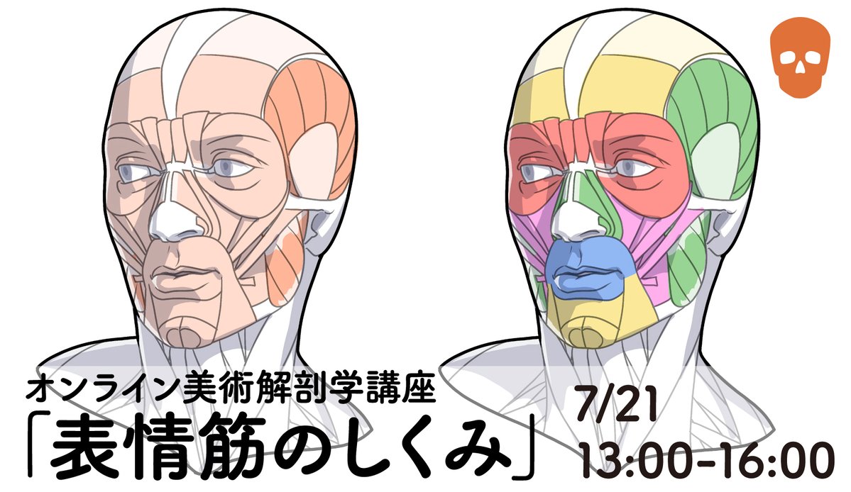 artanatomylab's tweet image. 7/21開催「表情筋のしくみ」にお申し込みの皆さま、当日のURLと資料をお送りいたしました。案内メールはyahooアドレスだと届かないことがありますので、届いていらっしゃらない方は、お問い合わせ先のメールアドレスからご連絡ください。passmarket.yahoo.co.jp/event/show/det…