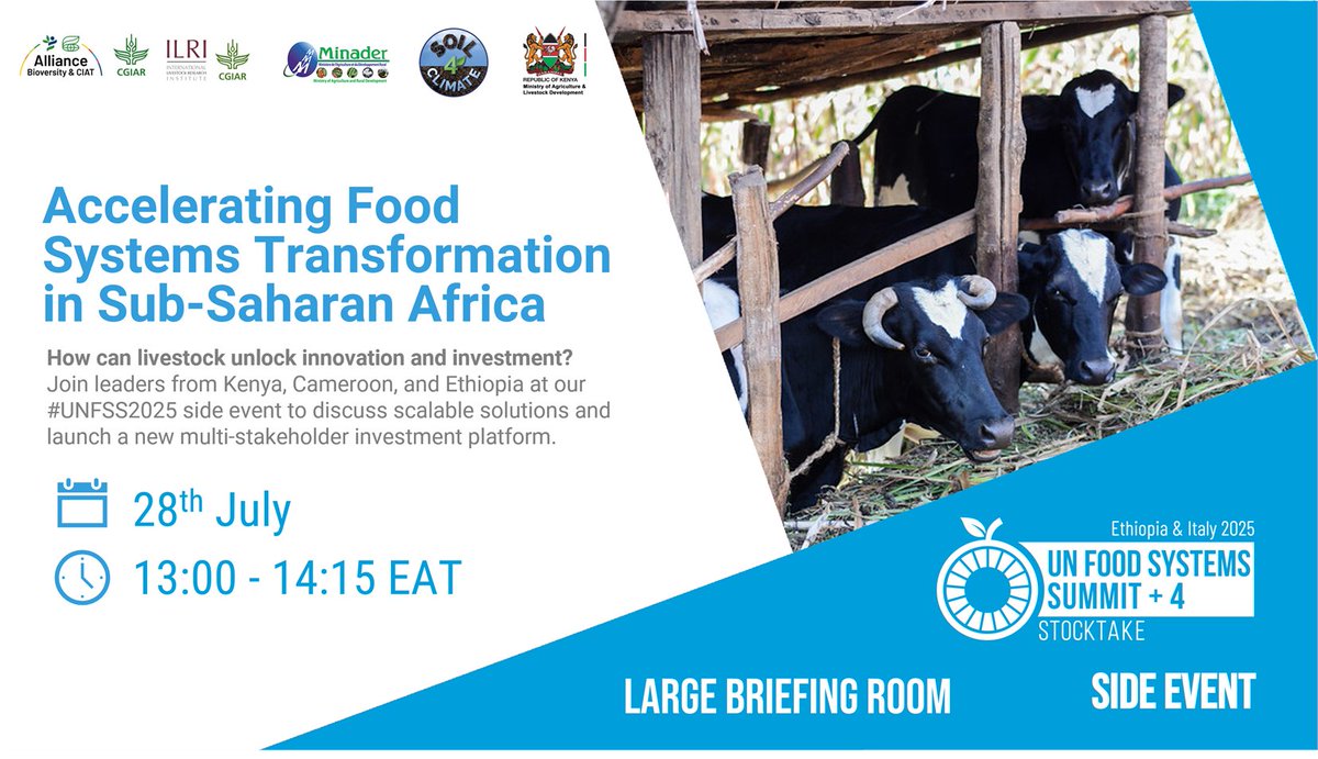 ILRI's tweet image. 🐄 Join us at #UNFSS2025 in Addis Ababa for a powerful side-event on how #livestock can drive #FoodSystems transformation in #Africa.
📅 28 July | 📍 UNCC Addis
🔗 alliancebioversityciat.org/events/unfss4
Led by 🇰🇪 @kilimoKE & 🇨🇲 @MinAgriCm, with @BiovIntCIAT_eng, @ILRI & @GSLC_Livestock