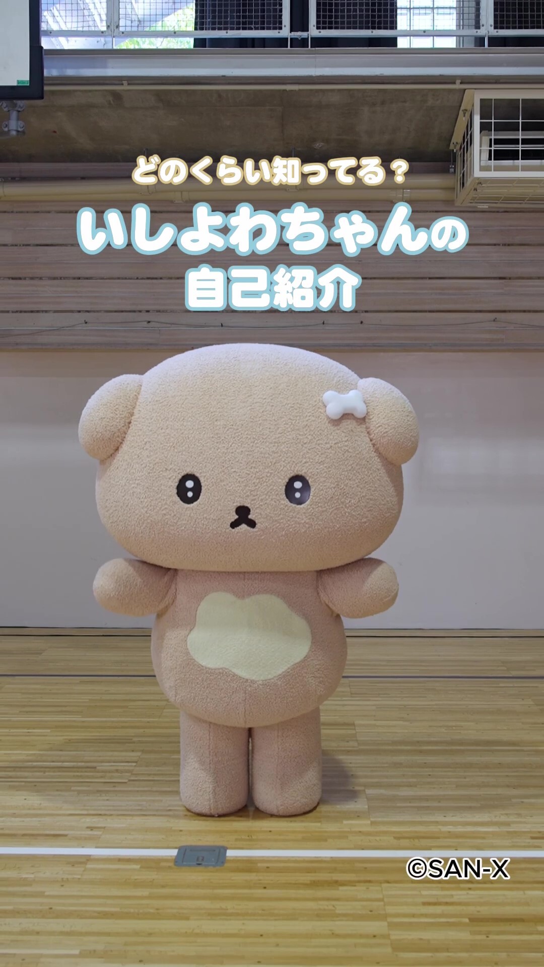 SAN-X♡キャラクター マスコットセット【激レア】 SAN-X♡まめゴマ いちゴマちゃん ぶるるん マスコット【激レア