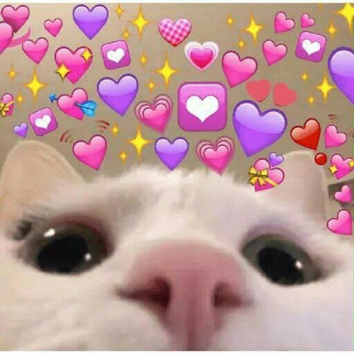 Eu depois do chá que o bonzinho me deu hoje. Pqp 🥵🥵😍