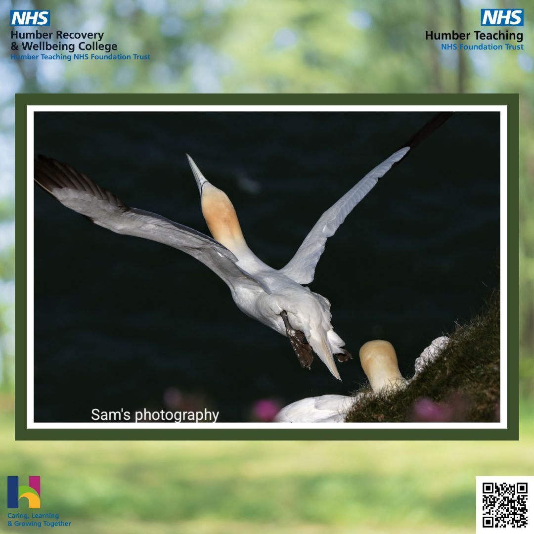 This Sunday, we have another incredible photo by Sam!

We're really enjoying seeing Sam's work pay off with these excellent photos 💙

If you have any creative work you'd like us to share, email us at: HNF-TR.RecoveryCollege@nhs.net 

#Photography #RecoveryAndWellbeingCollege