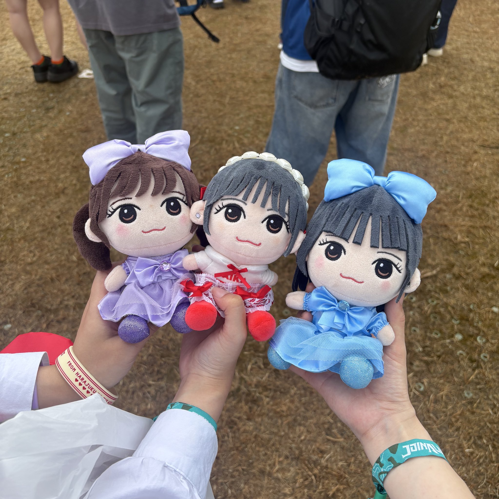 わかちゃん チワワ・ロングコート 】小さい体ながらも元気いっぱいパワフル