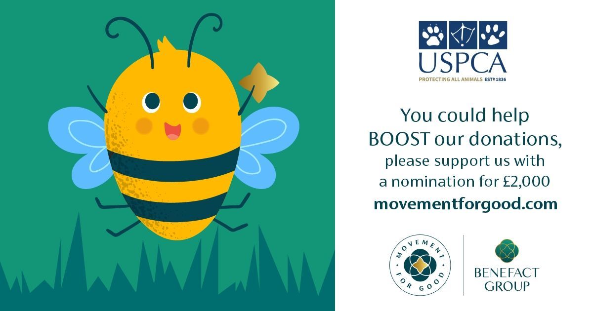 We've got a chance to win much needed funding to support our services that help animals in Northern Ireland.🐾
The draw is only open until the 27th July and it takes not even a minute of your time! 

Submit your nomination here 👉 buff.ly/a8PLNYC