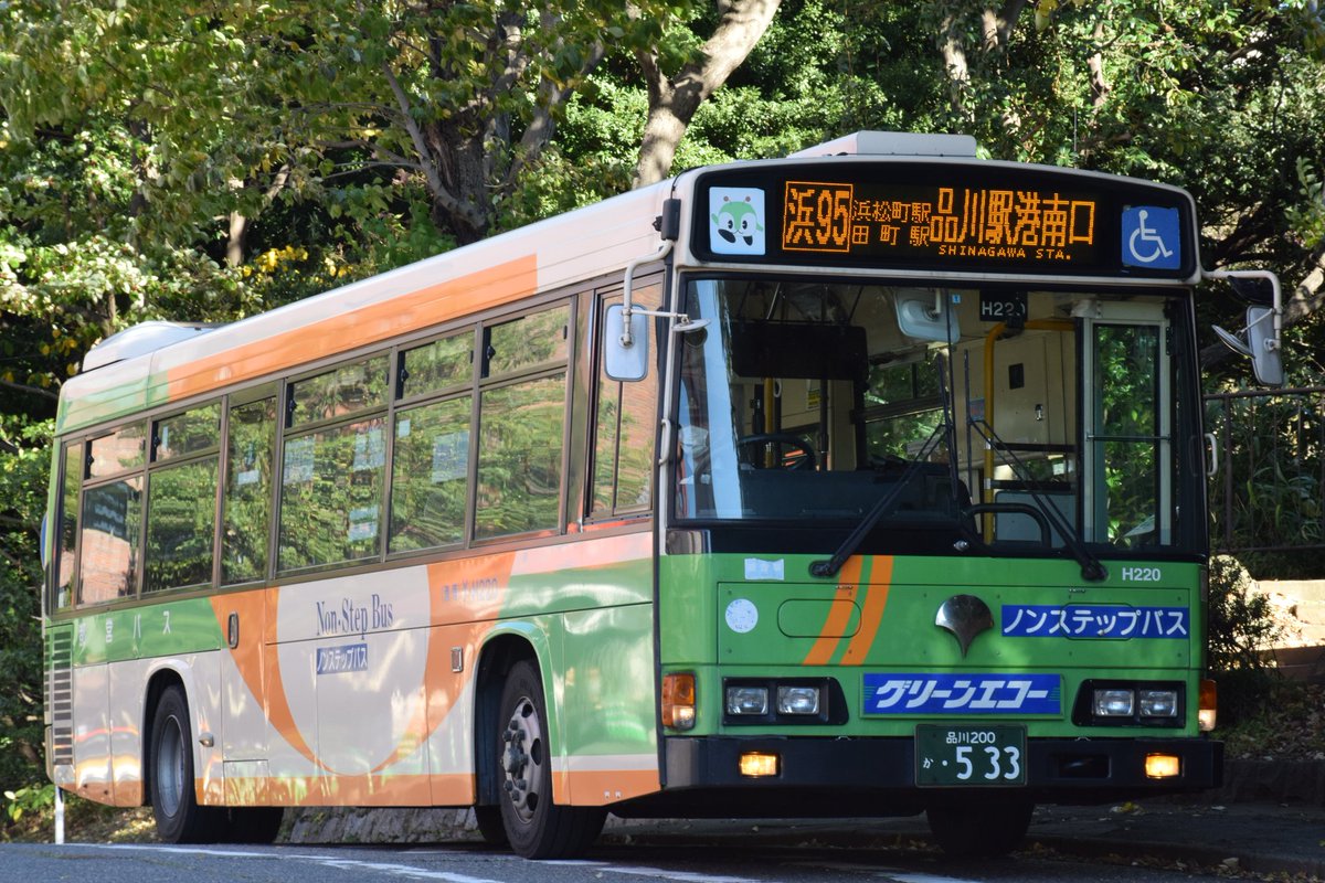 エコー tweet media