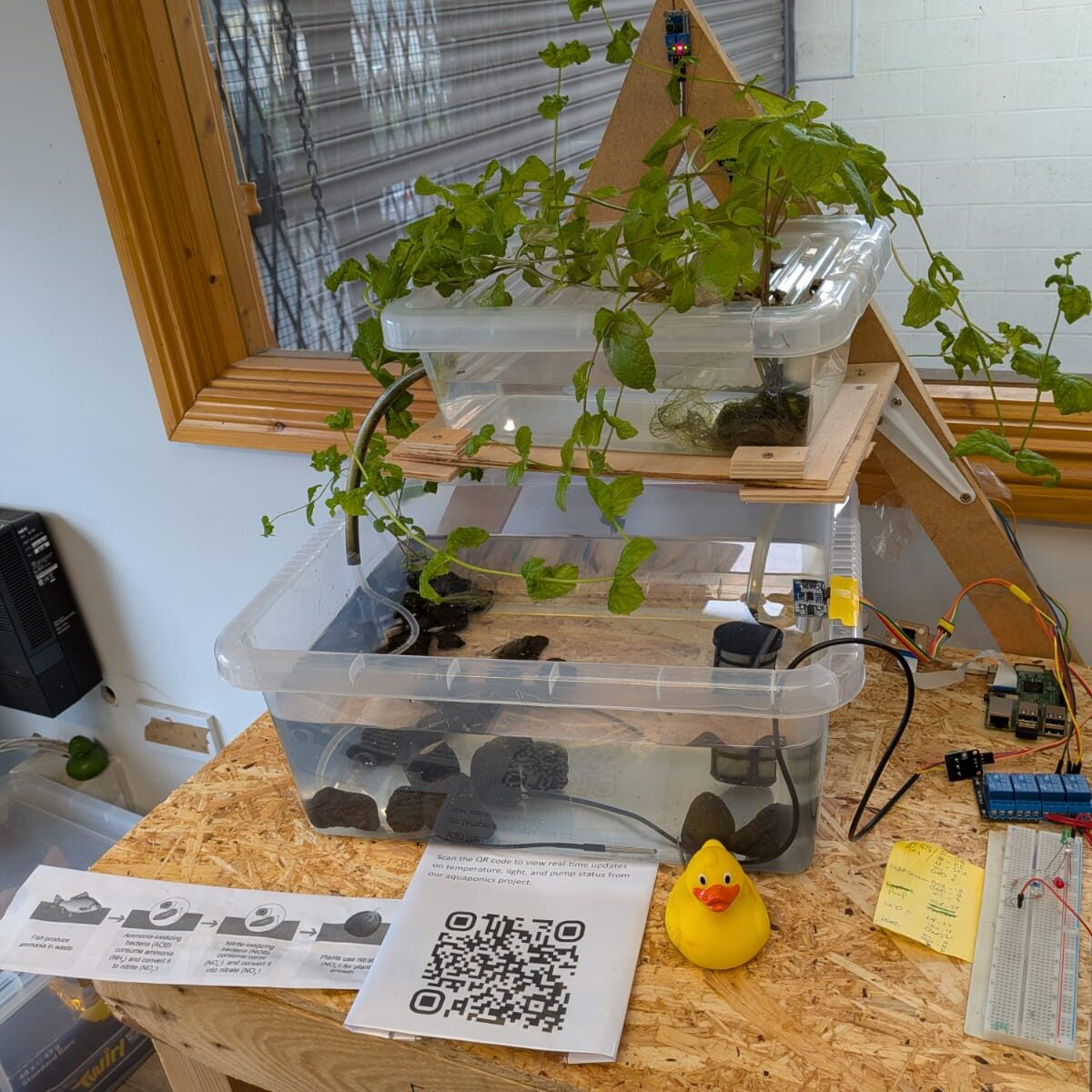 🐠💡 New blog post! TOG member Hussam Alhayek built a full aquarium automation system with water changes, sensors, and more. Dive into how it all came together.

tog.ie/2025/07/aquari…
#AquariumAutomation #Hackerspace #DIY #Electronics #Makers