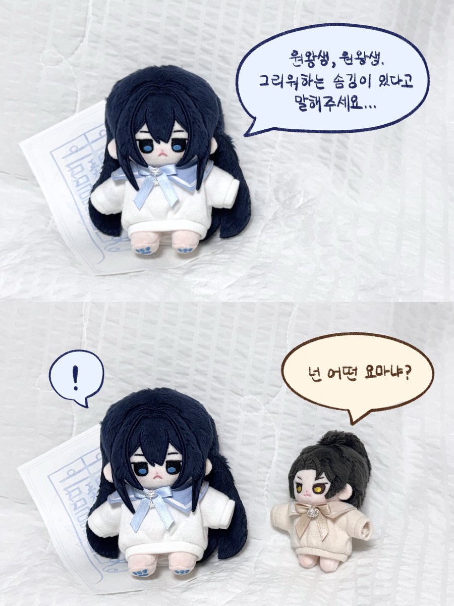 kknrang's tweet image. 💛동글환초 공구 공지 타래🩵
#동글환 #동글초