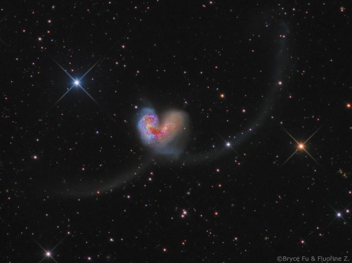 Cosmic Heart