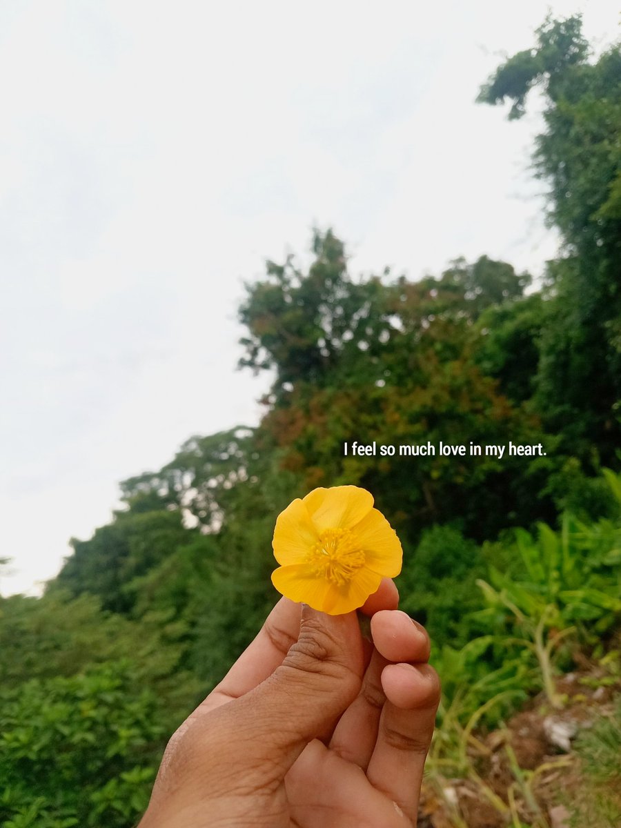මගේ මල් කුමාරයාගෙන් මට .......💛