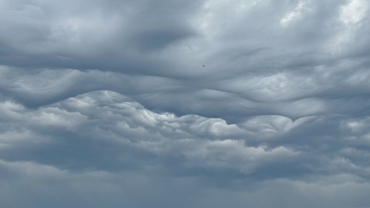 weerverteller's tweet photo. Fase één van het onweer in Nederland bleek zaterdag en in de nacht naar zondag nog geen succes. Of beter gezegd: er kwam eigenlijk helemaal niets van terecht. https://t.co/R2qS5xZPRy #onweer #hagel
#wateroverlast #noodweer #bliksem #donder
Foto: Jolanda Bakker. https://t.co/QmDecWu8fM