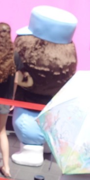 Folz20's tweet image. 今日は現物がおりました
急いでたから後ろ姿だけ…
#ベビチッチみいつけた