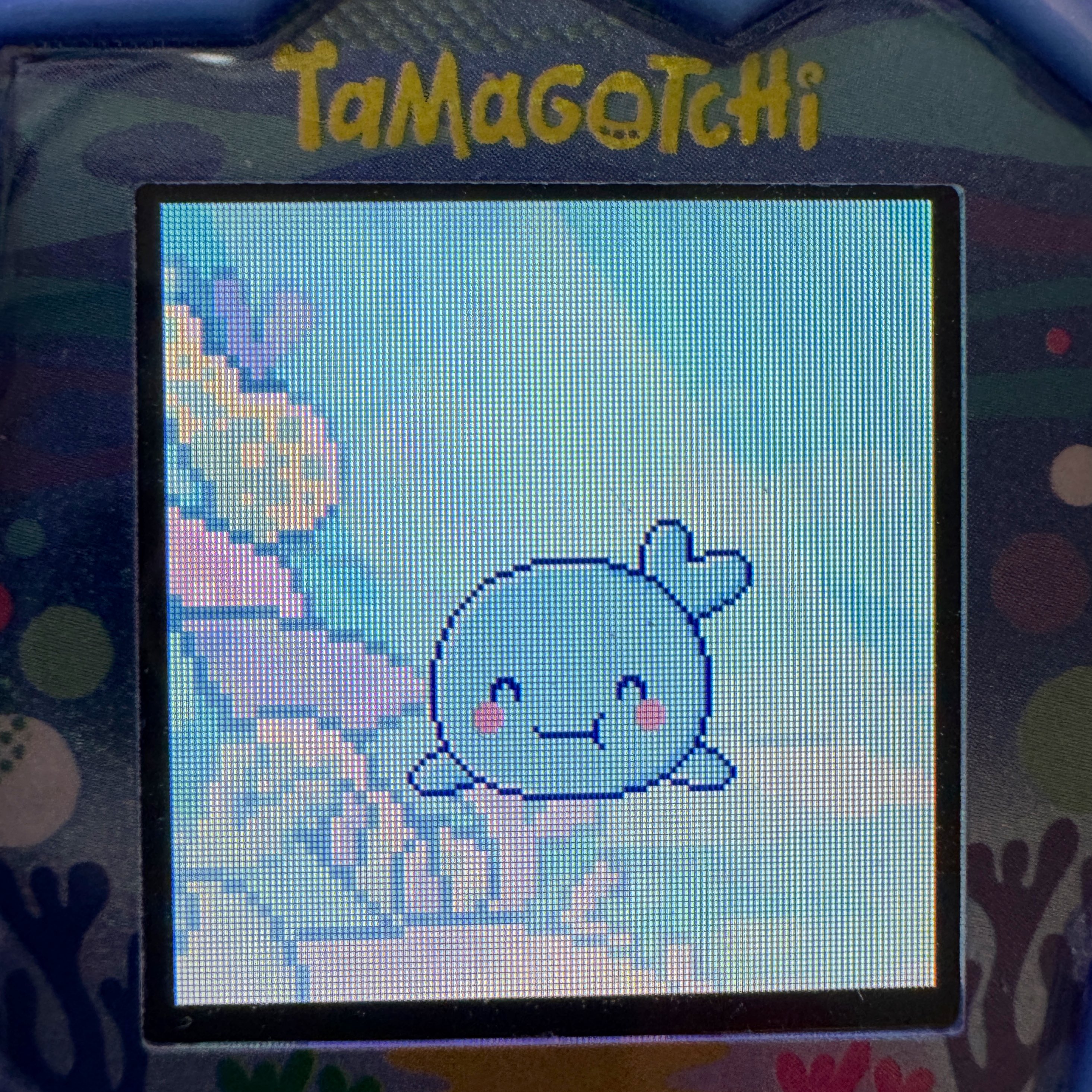 ゆっせい☔️🐬 on X: 