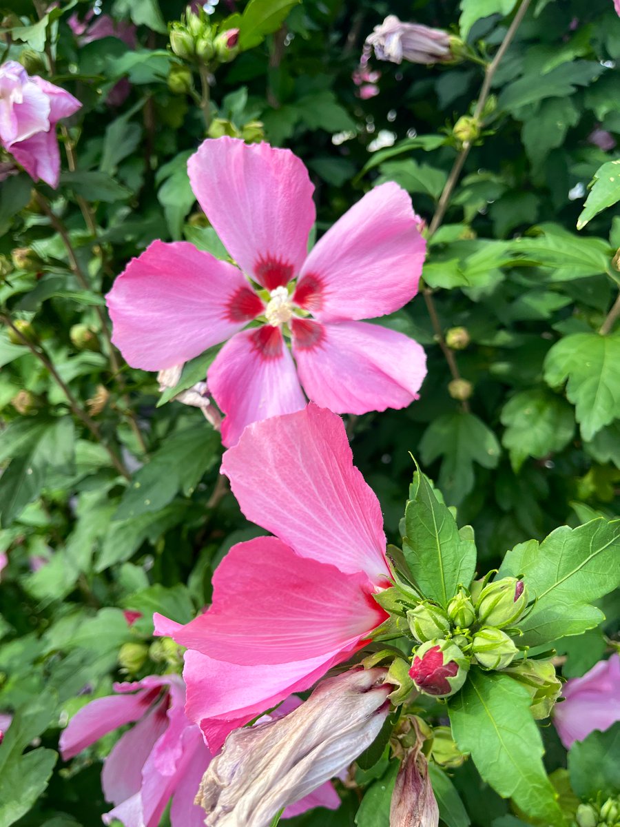 Goedemorgen beste TwiXers, een fijne dag toegewenst 👍😀