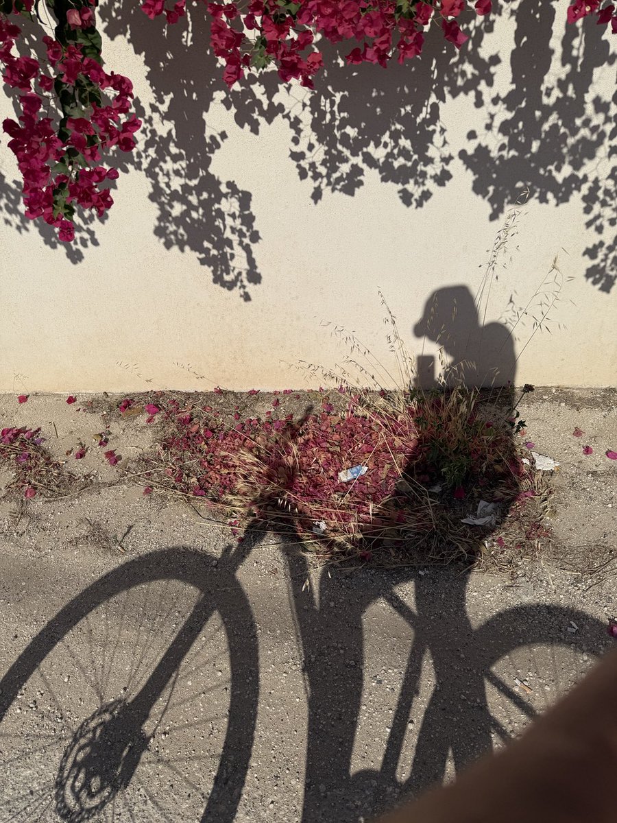 Aldito11's tweet image. Come iniziare per bene la domenica mattina.