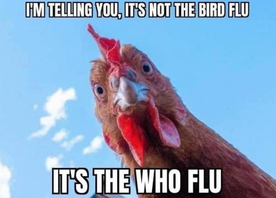 Truth Seeker tweet media