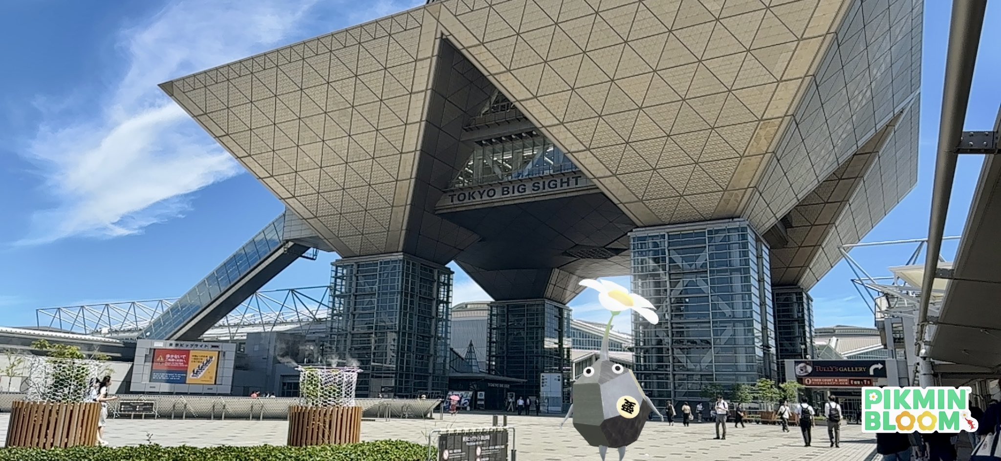ピクミンのお城 mqdefault.jpg