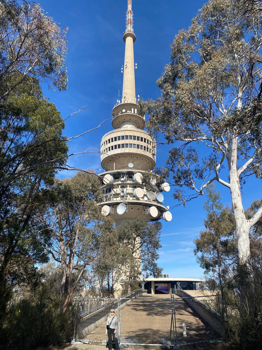 Why climb 900m when you can drive there! Well because then we’d have missed the walk, wildlife and a chat with a lovely couple from Dublin! Such a shame it’s all closed up now - would have loved a meal in that revolving restaurant a la CN Tower! #canberra #telstratower