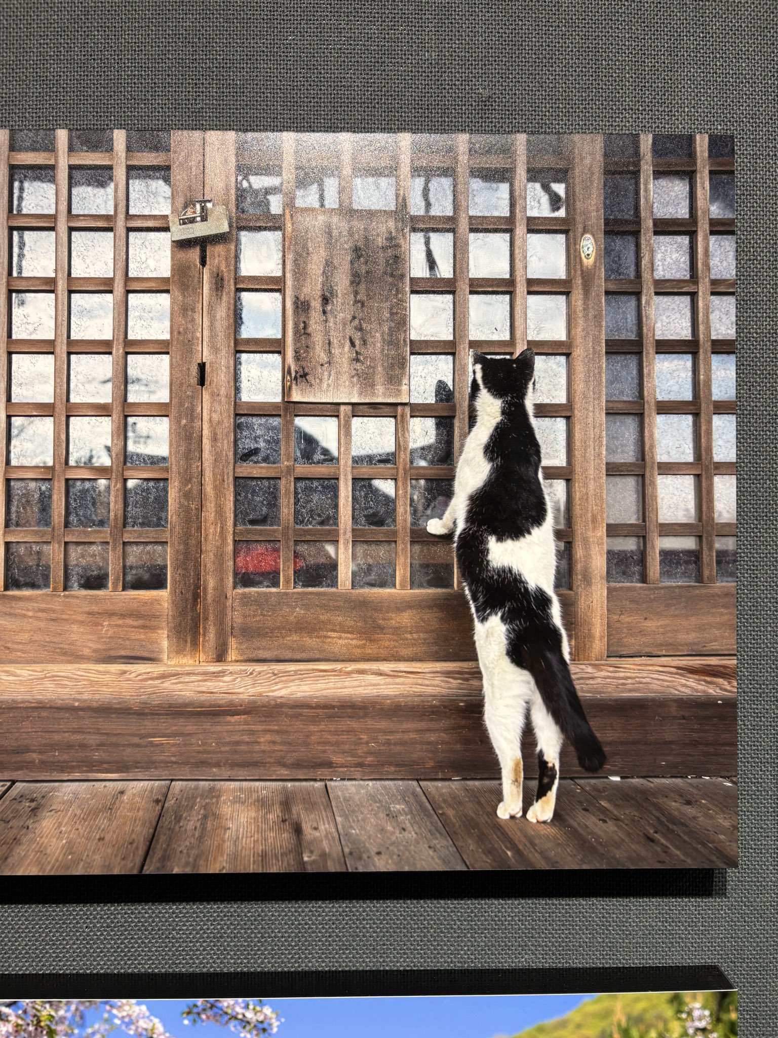 tw様予約 絵画「猫の背中に何かある〜ベトナム／アオザイとバインミーとフォー」 tw様予約 絵画「猫の背中に何かある〜ベトナム／アオザイと