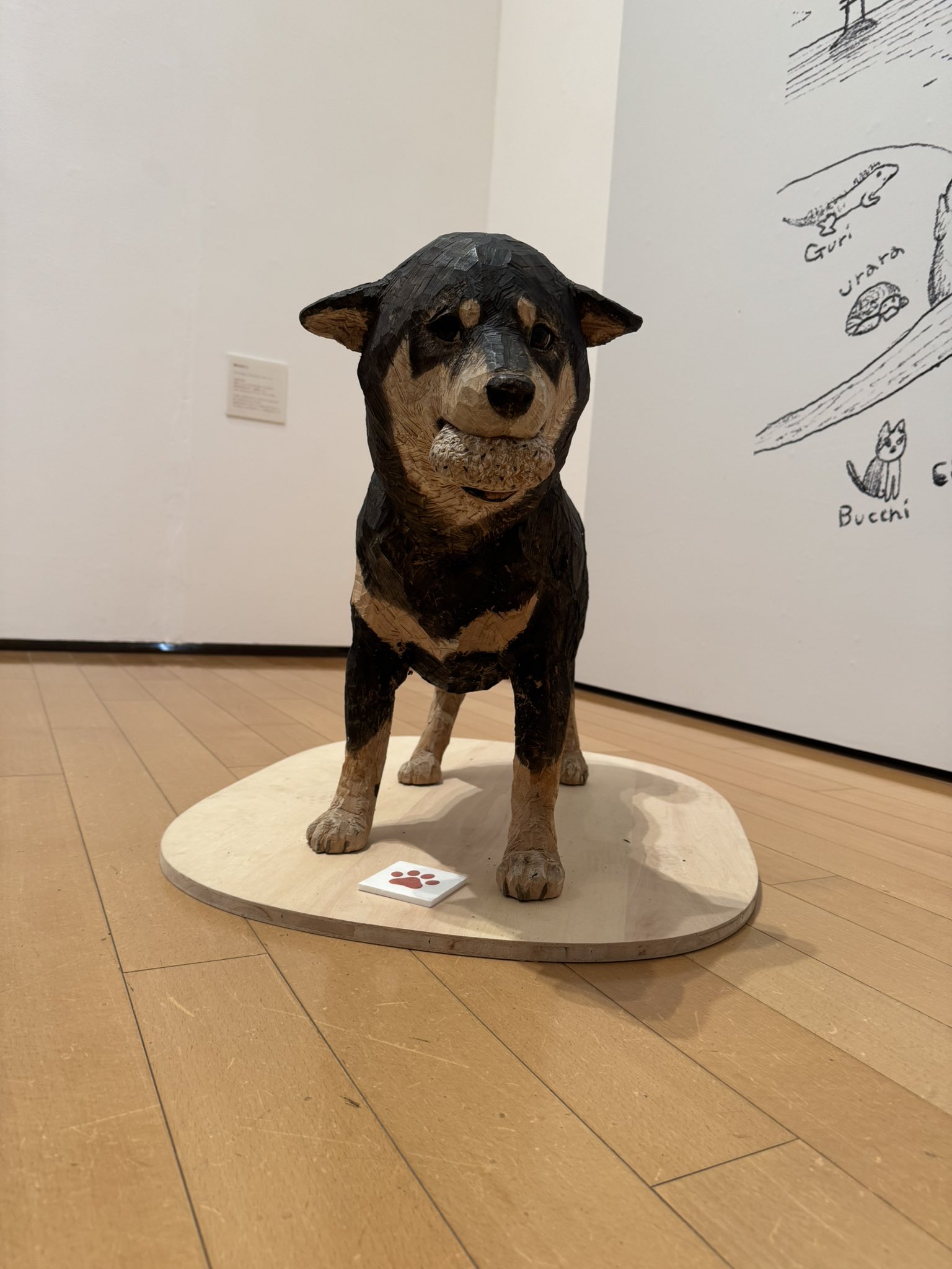 犬は宝🇺🇦コーギーは宝🇺🇦うちの犬は宝で天才 on X: 