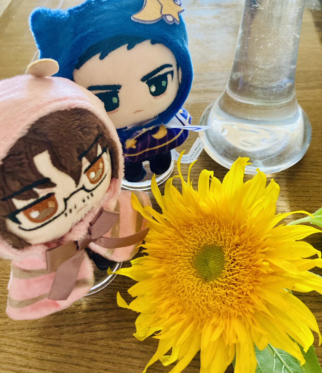Abee65015280's tweet image. 投票と買い出し終わらせてめちゃくちゃ偉いのでお花買った