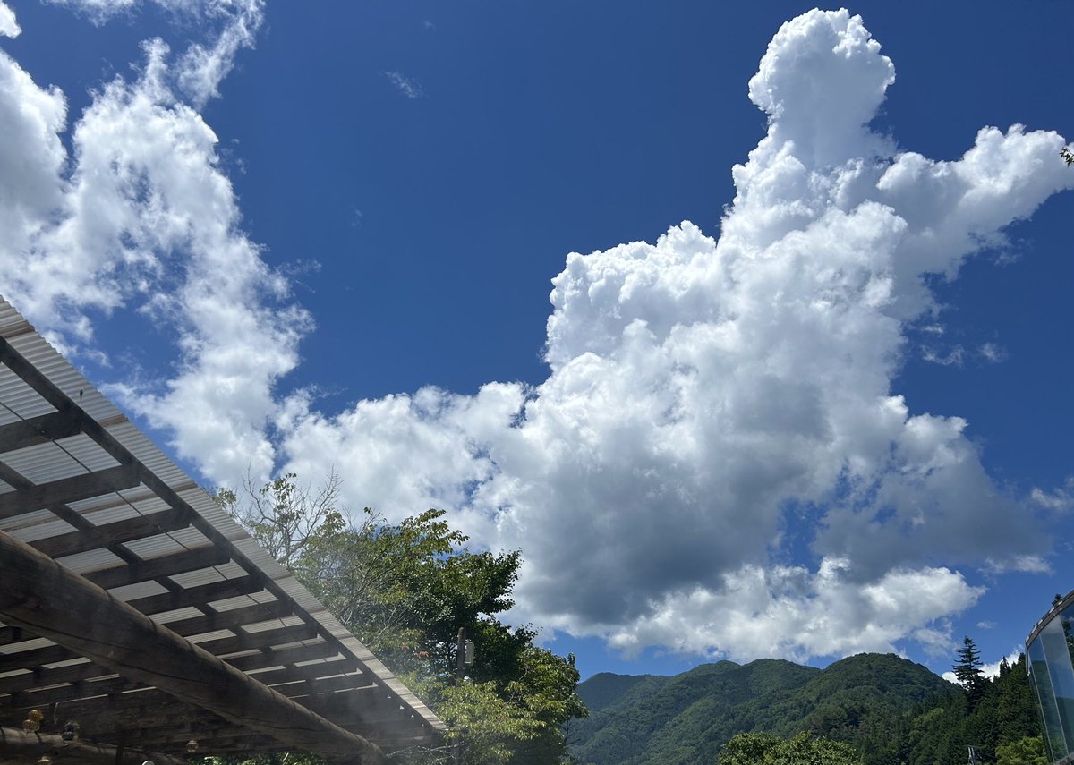 mallow213's tweet image. 夏…!!! だ…!!