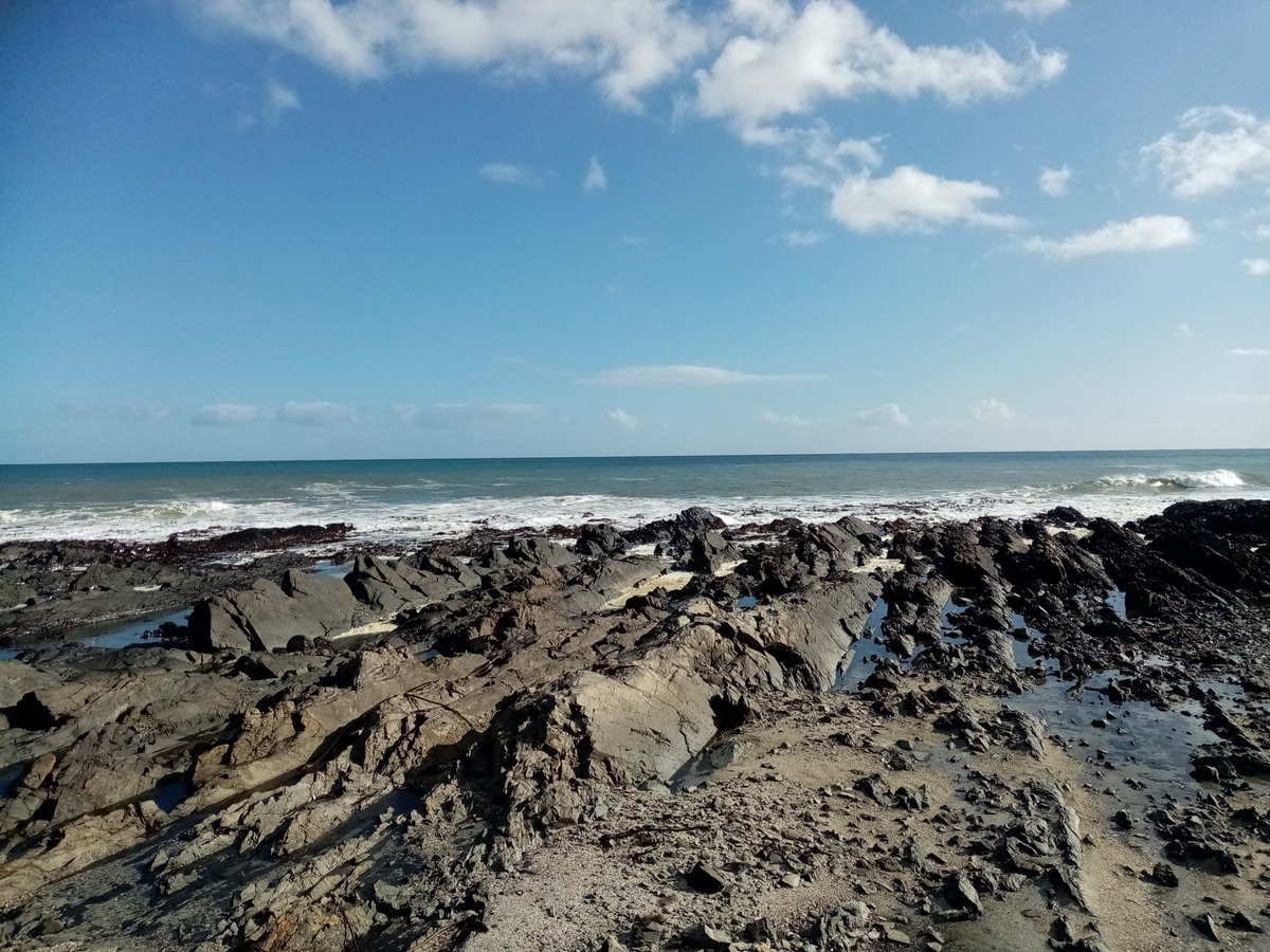 mahlephula's tweet photo. "May the hummingbird come 
come the sparrow-hawk 
come the horizon-shatter 
come the cynocephalus 
come the lotus, bearer of the world 
come from dolphins a pearl insurrection shattering the shell of the sea 
come a plunging of islands..." Aimé Césaire
#SundayTea https://t.co/x4Lf4NKJBF