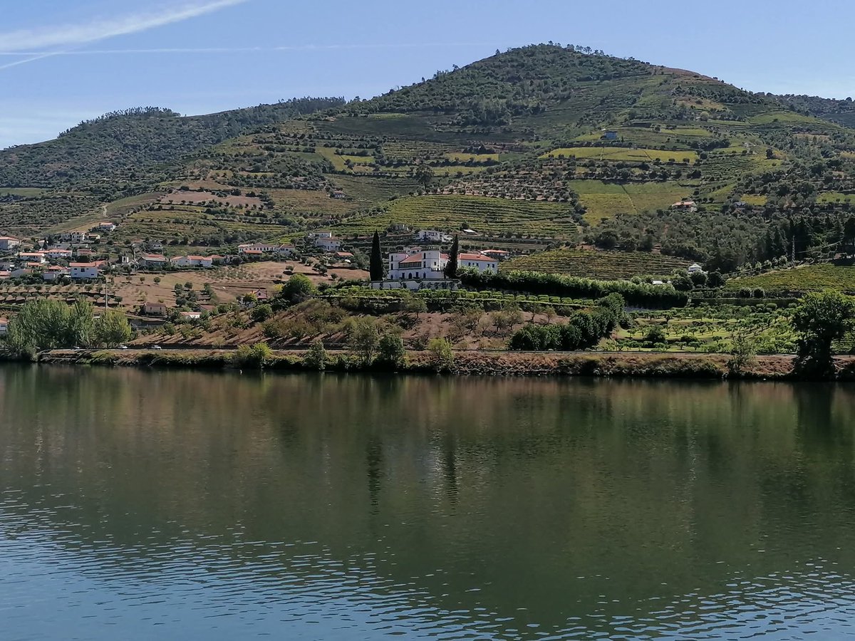skymanuelima's tweet photo. Desfrute de uma belíssima #viagem de #comboio entre a #Régua e o #Pinhão, num dos percursos mais elogiados do #Douro, célebre pelos seus socalcos e vistas incríveis, esta região vinhateira vai surpreendê-lo. #RioDouro #travelphotography #viagens #FotógrafoAmador #visitPortugal https://t.co/0VQWlLAQmG
