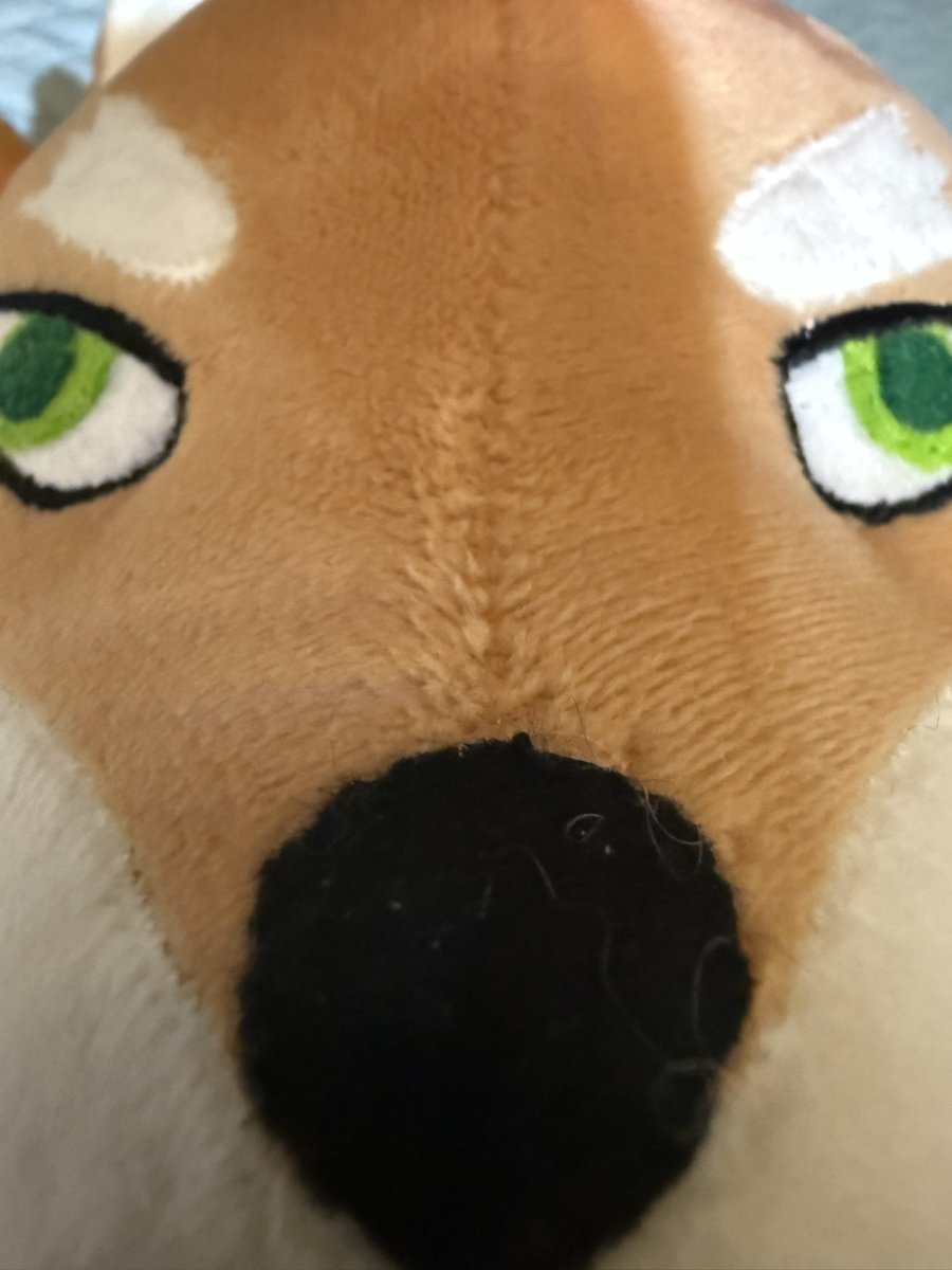 Coming soon to a sofa near you~ 💚