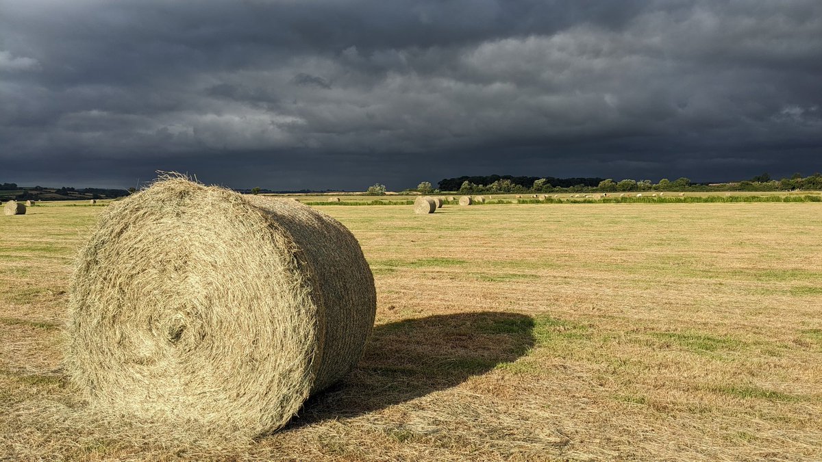 robinmmorrison's tweet image. Gathering storm clouds.