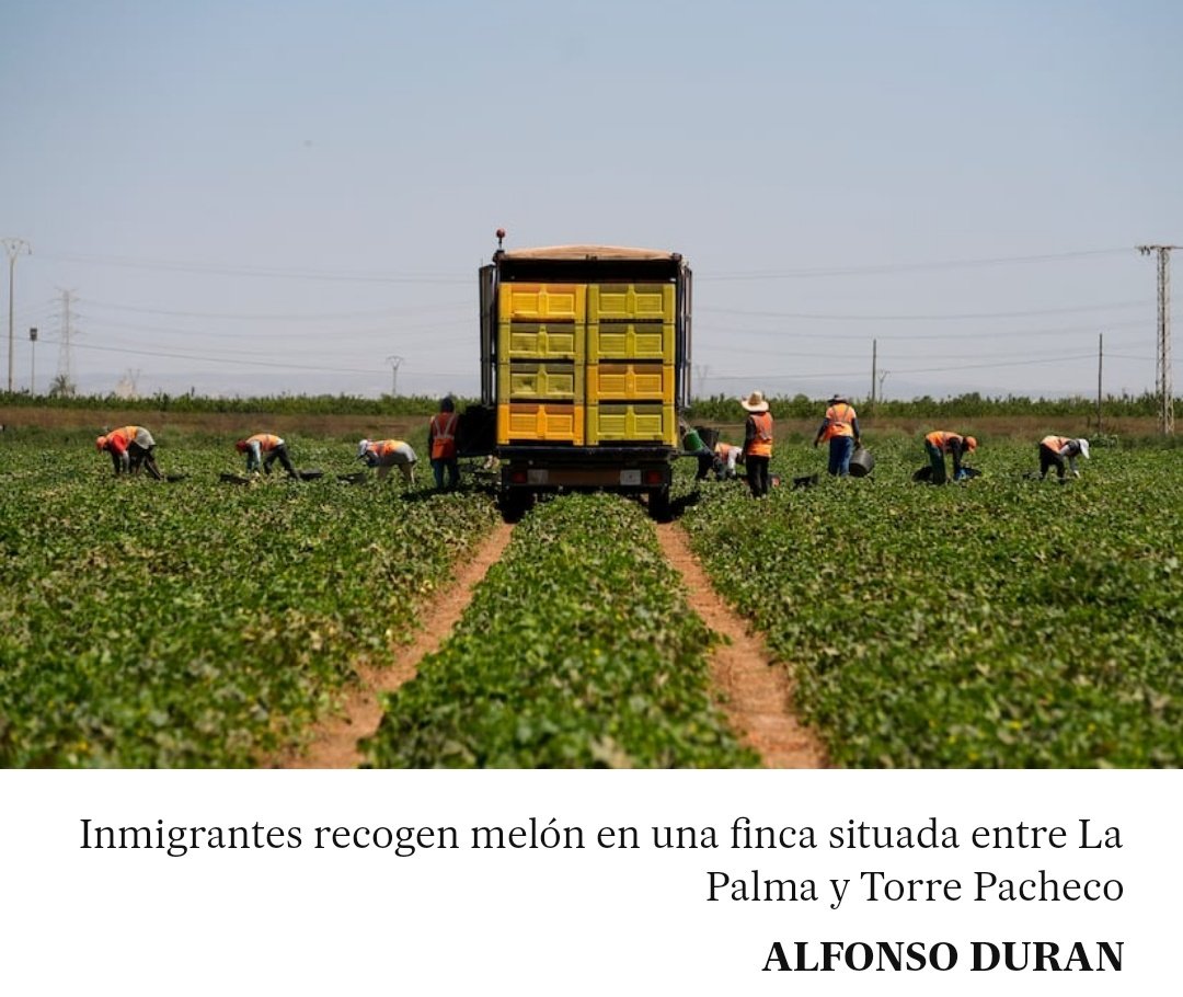 manuelansede's tweet image. “Que vengan ellos, los tatuados, aquí, a ver cuánto aguantan”
elpais.com/espana/2025-07…