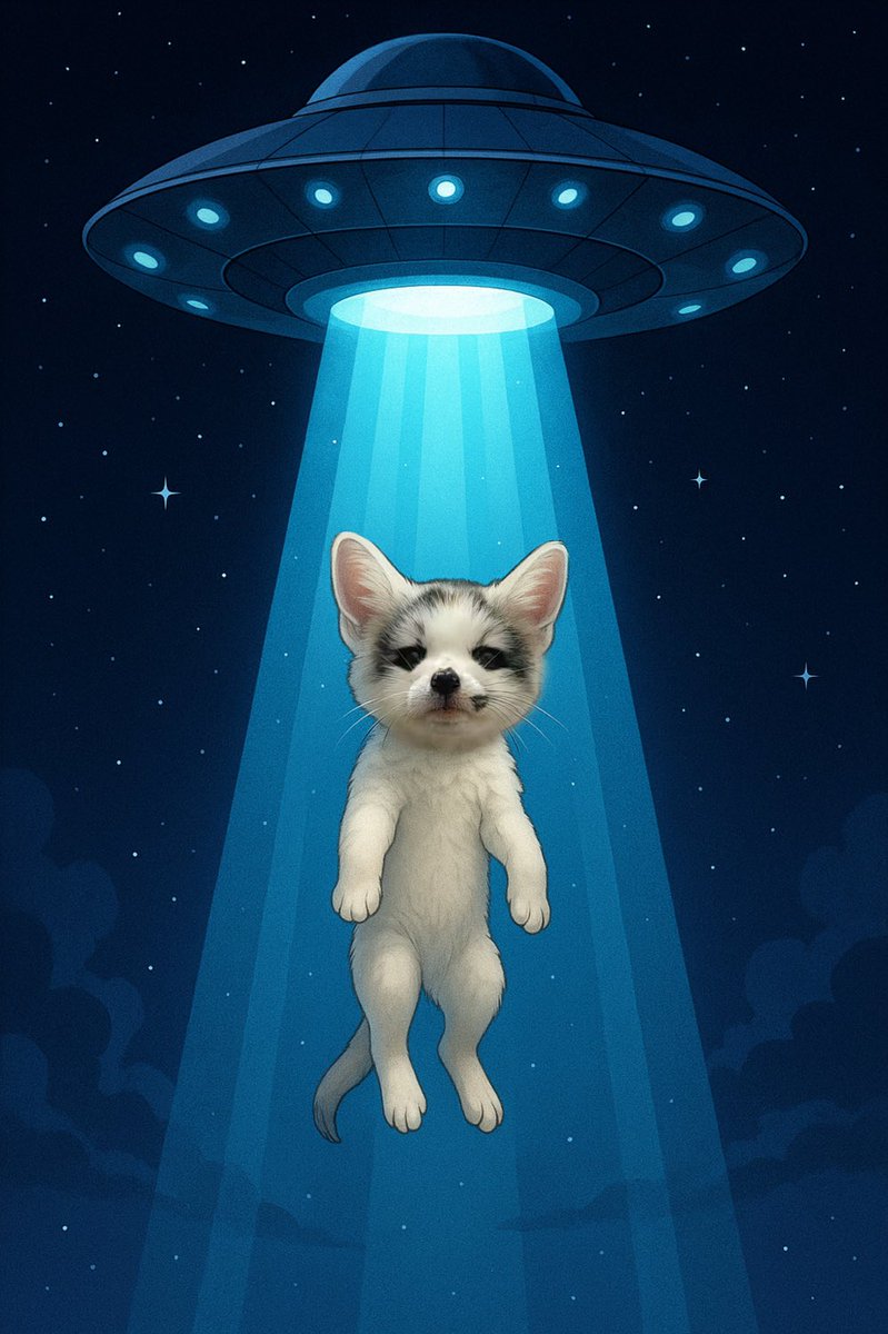 2012Gunzi's tweet photo. 🐾
They came for our leaders.
They took Foxe instead.
#Foxe #UFO #WrongChoice
#foxecoin https://t.co/y5iparI5bf