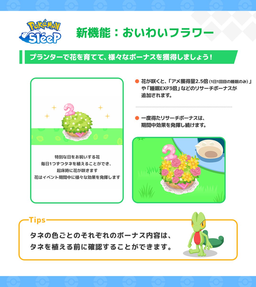 PokemonSleepApp's tweet image. 【おいわいフラワー / まっしろミント💐🌱】
開催期間中、咲かせた花の色に応じて様々なボーナス効果が得られる「おいわいフラワー」💐
「しろいタネ」から手に入る「まっしろミント」は、ポケモンのせいかくによる能力の特徴をなくすことができるどうぐです💡
#ポケスリ #ポケモンスリープTips