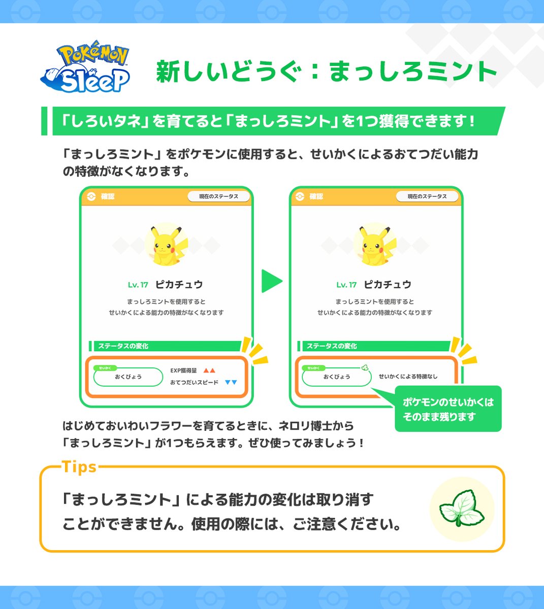 PokemonSleepApp's tweet image. 【おいわいフラワー / まっしろミント💐🌱】
開催期間中、咲かせた花の色に応じて様々なボーナス効果が得られる「おいわいフラワー」💐
「しろいタネ」から手に入る「まっしろミント」は、ポケモンのせいかくによる能力の特徴をなくすことができるどうぐです💡
#ポケスリ #ポケモンスリープTips