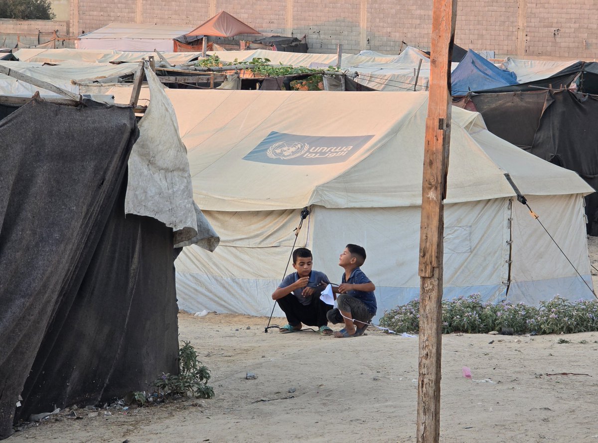Las personas desplazadas en Gaza en tiendas de campaña están sufriendo gravemente la subida de las temperaturas. Sobreviven bajo plásticos y sin apenas agua o recursos para refrescarse.
Su salud corre grave peligro durante el verano.