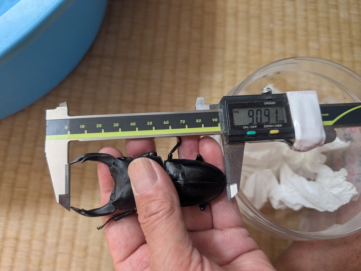 3525 (@QcpF7YLQPRjwD49) / Posts / X