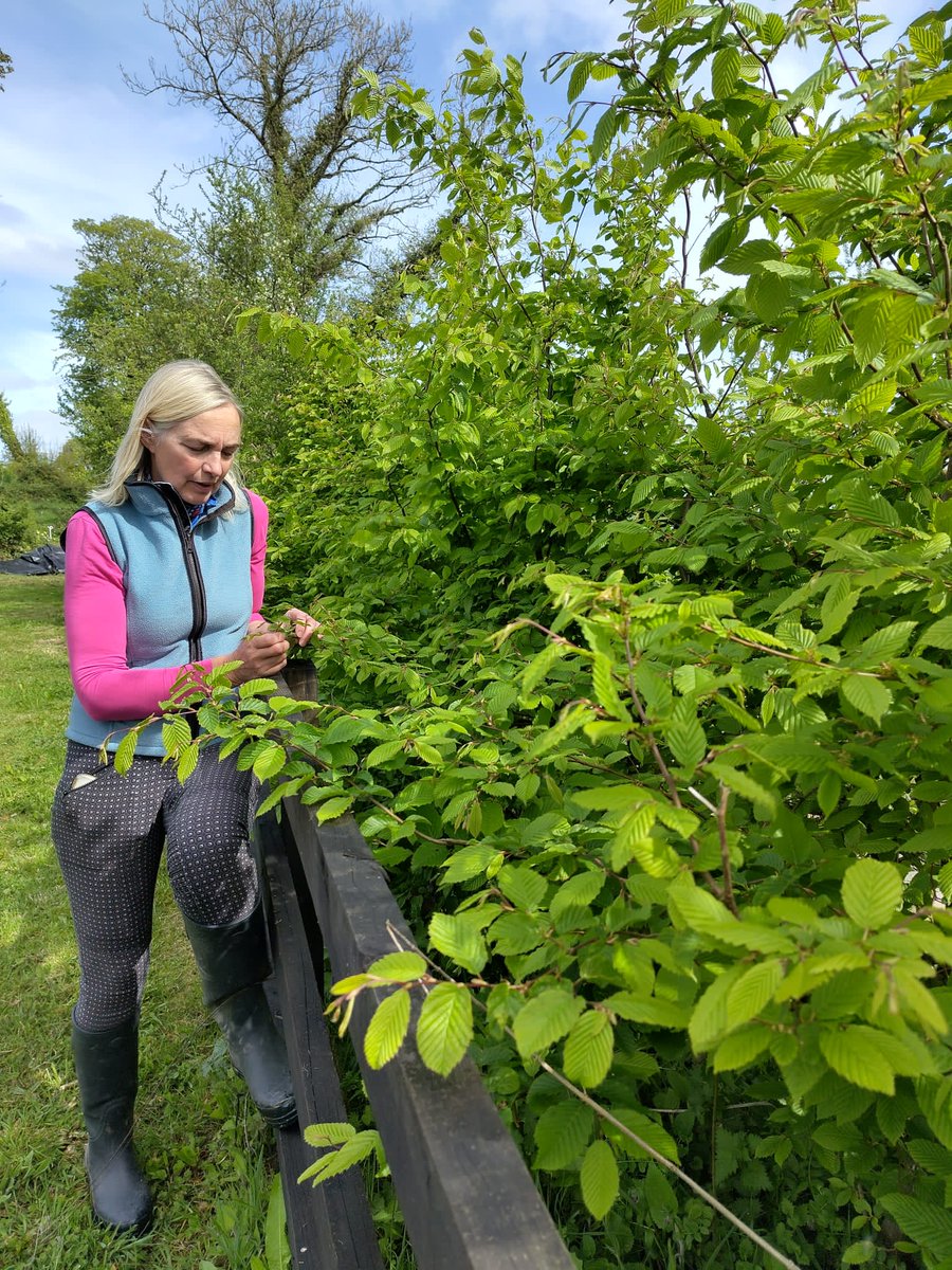 farmfornature's tweet image. Thanks to Margaret Edgill for hosting us as part of the Awards process recently
Beef, preserves, events, accommodation, an orchard and so much more, all while placing nature at the centre of this beautiful farm.
The Ambassador Award winners will be announced in Oct so stay tuned