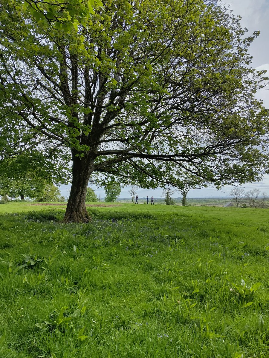 farmfornature's tweet image. Thanks to Margaret Edgill for hosting us as part of the Awards process recently
Beef, preserves, events, accommodation, an orchard and so much more, all while placing nature at the centre of this beautiful farm.
The Ambassador Award winners will be announced in Oct so stay tuned