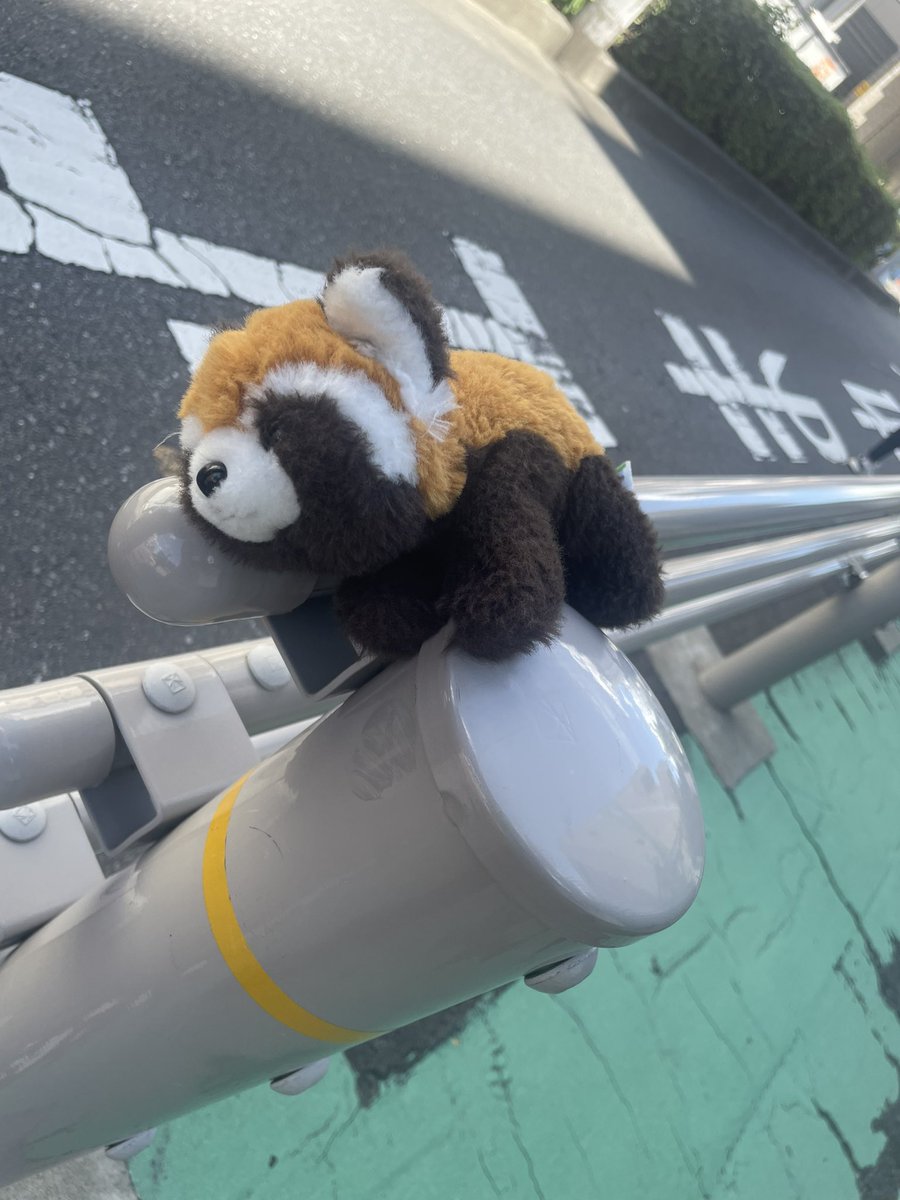 N1zUYkGTAVJij1v's tweet image. 落とし物です
　　日干しされてます☀️