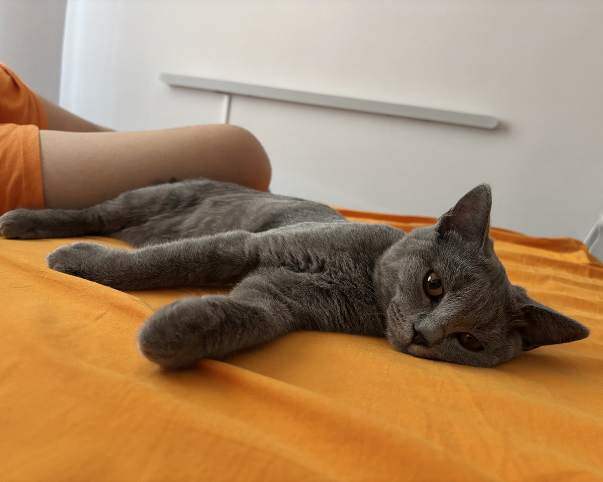 bekoderdo's tweet image. Temas bağımlısı bir bebikk 🧡