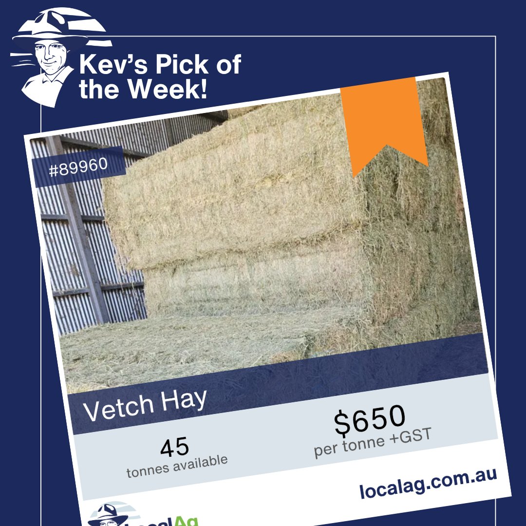This week, Kev’s picked a line of Popany Vetch that’s tidy, shed-stored and ready to move. 

✔️ Large square 8x4x3 bales
✔️ ~640kg each
✔️ 24–25 season

Search lot #89960 on the app or take a look here: localag.com.au/buy/hay-and-fo…