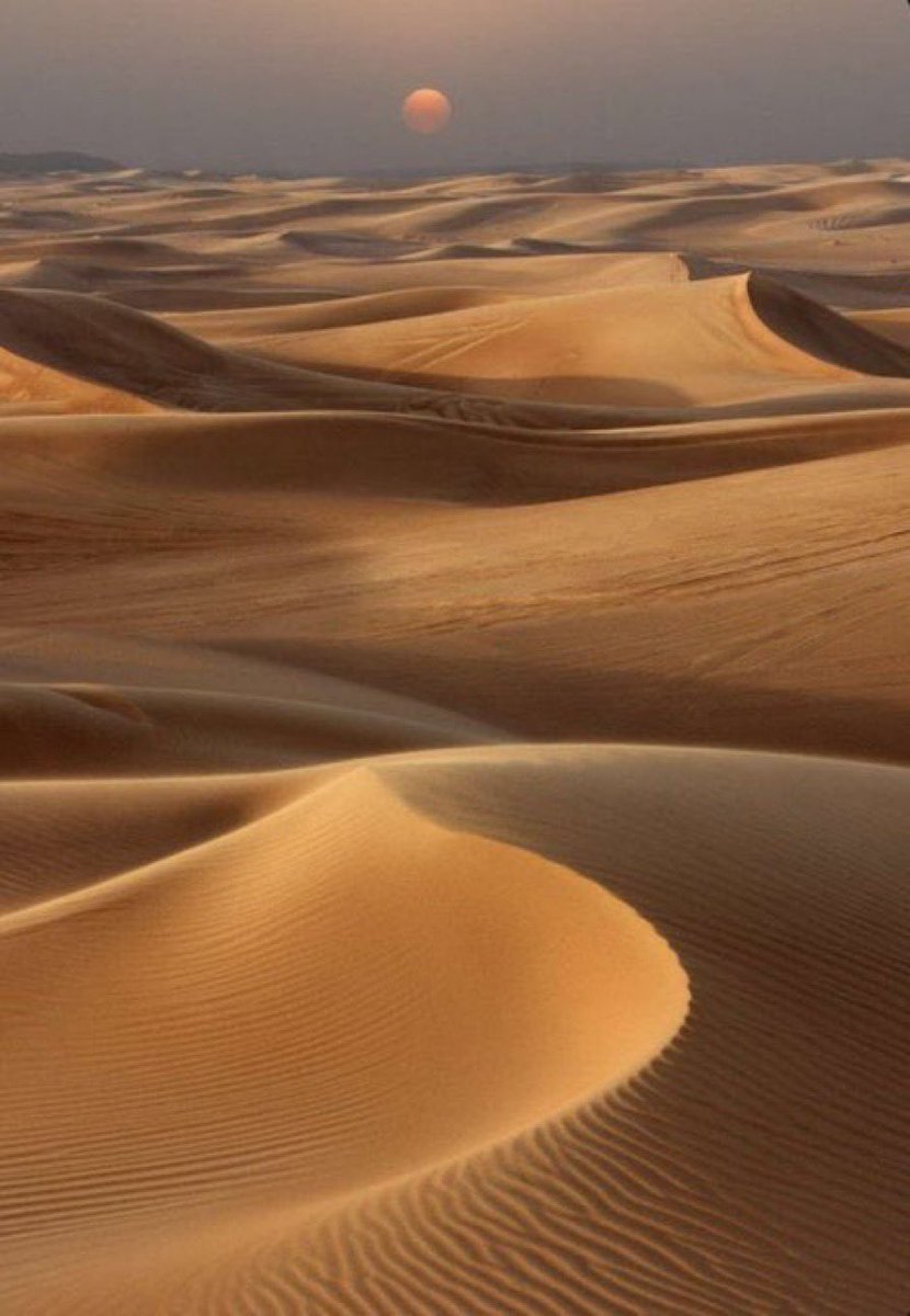 حنايا نحر زين الوصايف نحيل العود 
سوافي نفودٍ لاهب القيض راسمها