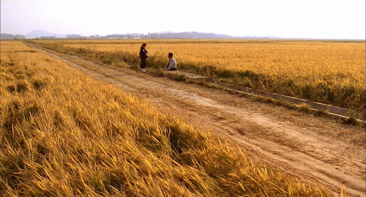 screenscaps's tweet photo. memories of murder (2003) dir. bong joon-ho https://t.co/k9hYkRqNVs