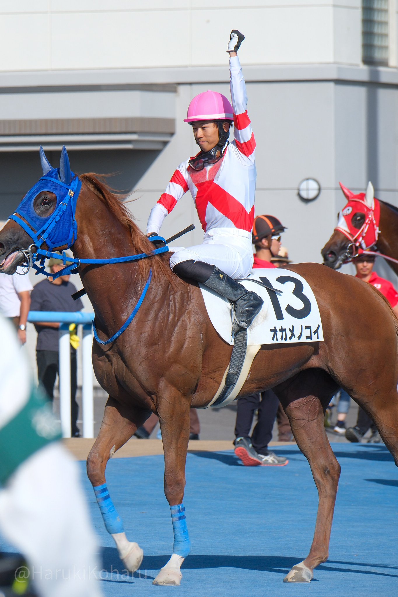競馬2着馬物語 6FGTCEJOM5I2LCMKFLJPH2BSGA.jpg