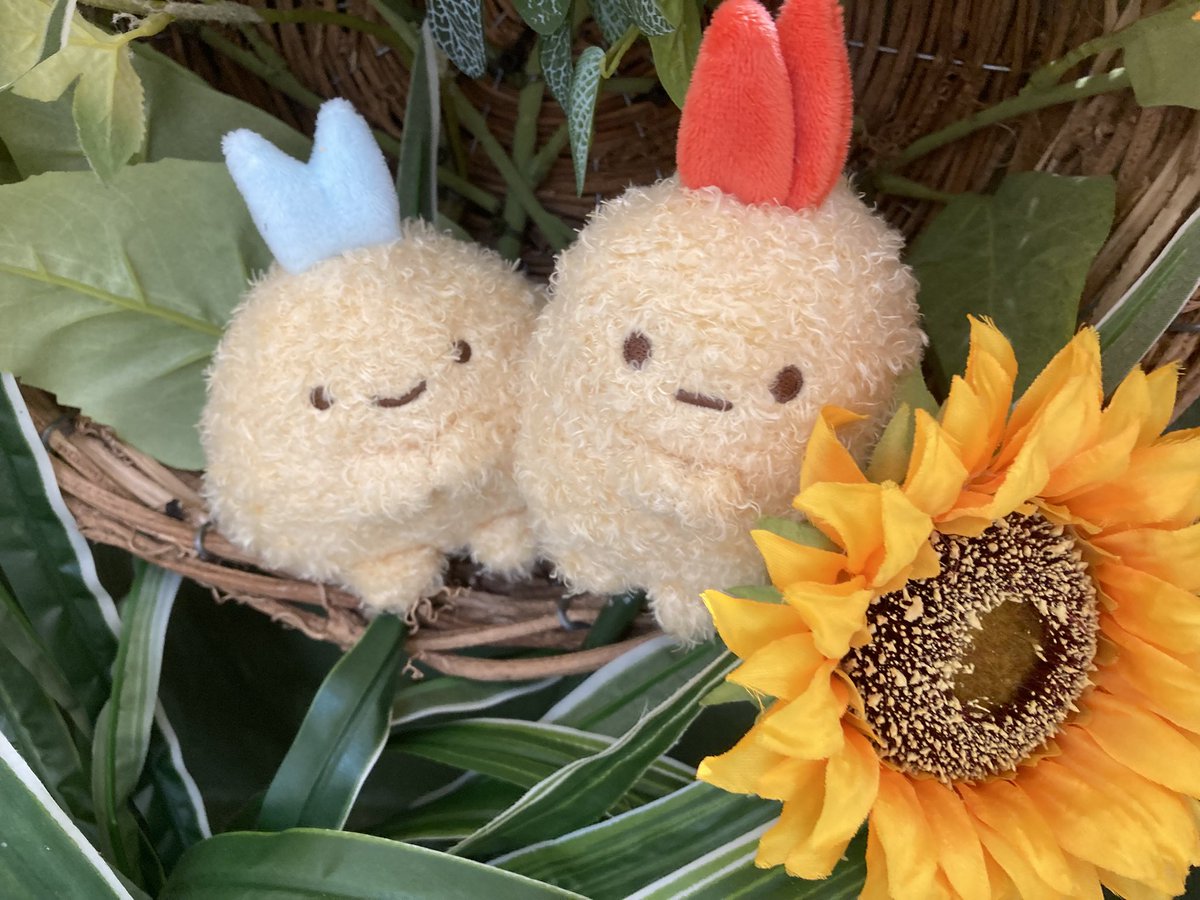 POSO3's tweet image. ご飯